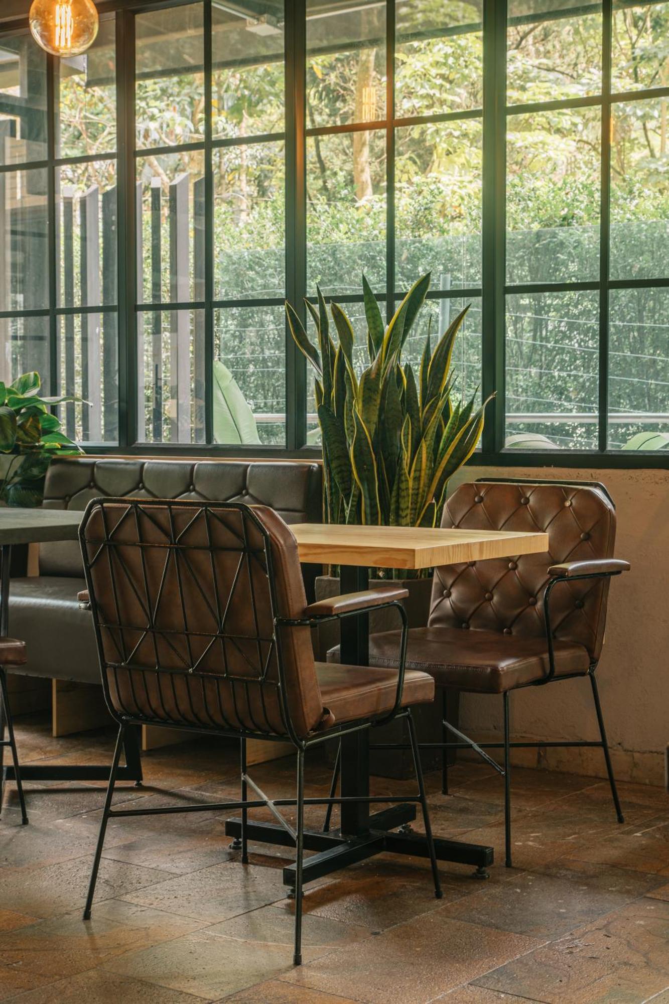 Cafe Hotel Μεντεγίν Εξωτερικό φωτογραφία